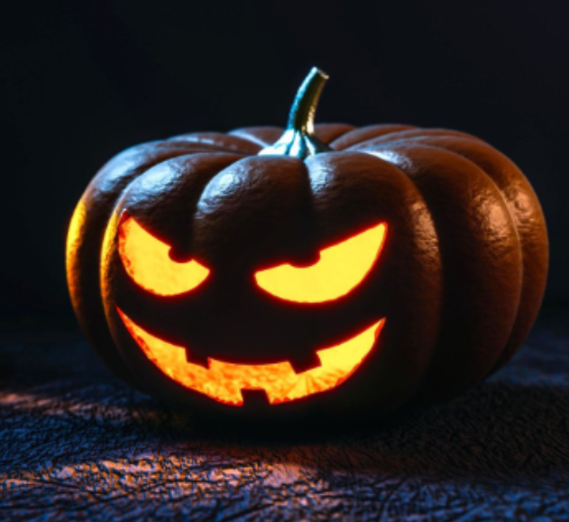 Everything You Need to Know About Elementary Halloween!