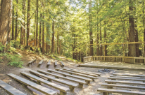 Outdoor Ed Activities